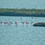 Villino Sporting Lido di Spina