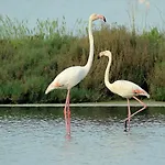 Villino Sporting Casa de Férias