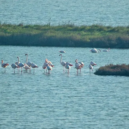 Villino Sporting Lido di Spina