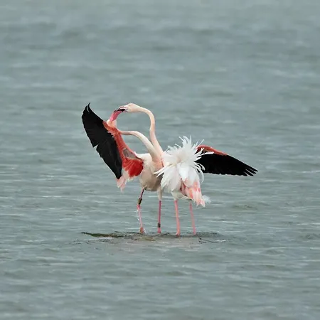 Casa de Férias Villino Sporting Lido di Spina