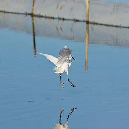 Casa de Férias Villino Sporting *