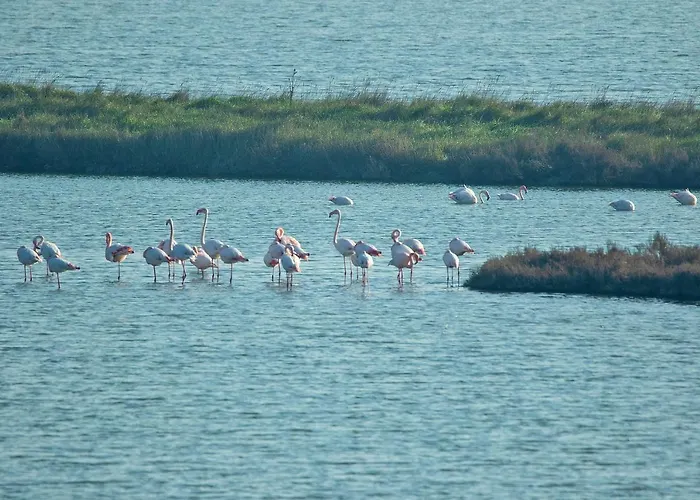 Villino Sporting Lido di Spina