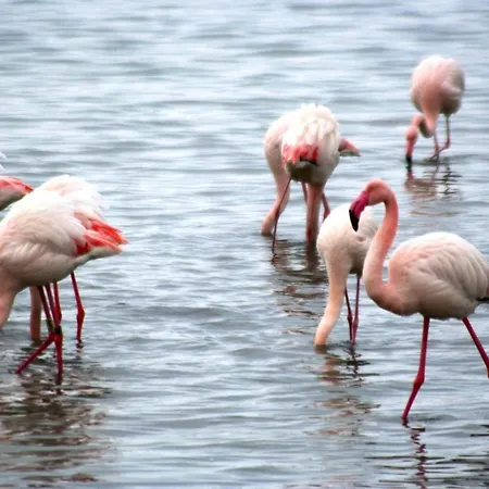 Casa vacanze Villino Sporting Lido di Spina