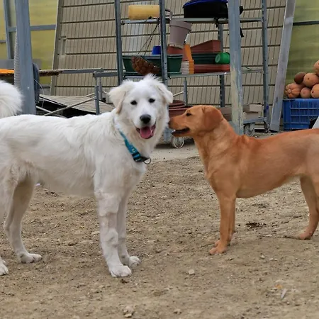 Casa vacanze Villino Sporting