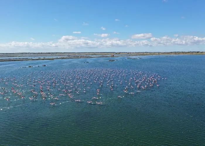 بيت للعطل Villino Sporting ليدو دي سبينا