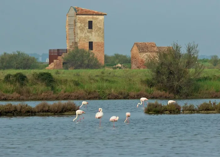 بيت للعطل Villino Sporting ليدو دي سبينا