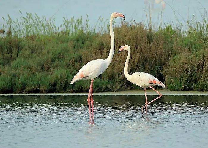 Villino Sporting بيت للعطل