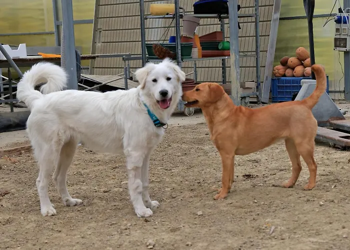 펜션 Villino Sporting