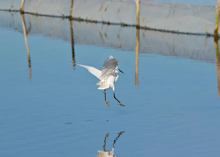 بيت للعطل Villino Sporting *